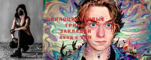 PSILOCYBIN Абинск