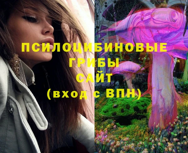 PSILOCYBIN Абинск