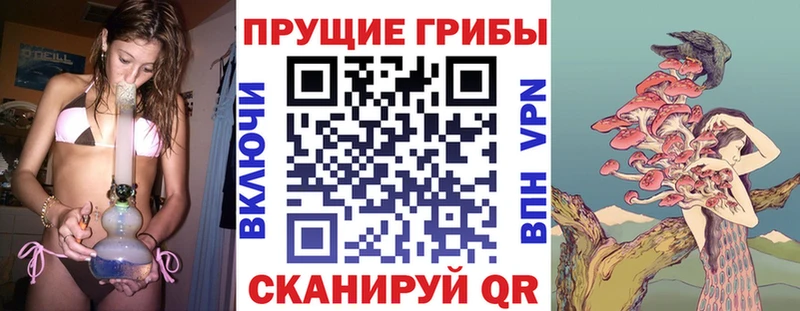 Галлюциногенные грибы GOLDEN TEACHER  Новотитаровская 