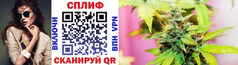 Конопля планчик  Новотитаровская 
